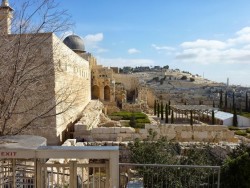 The Ophel in Jerusalem near where the seal was discovered